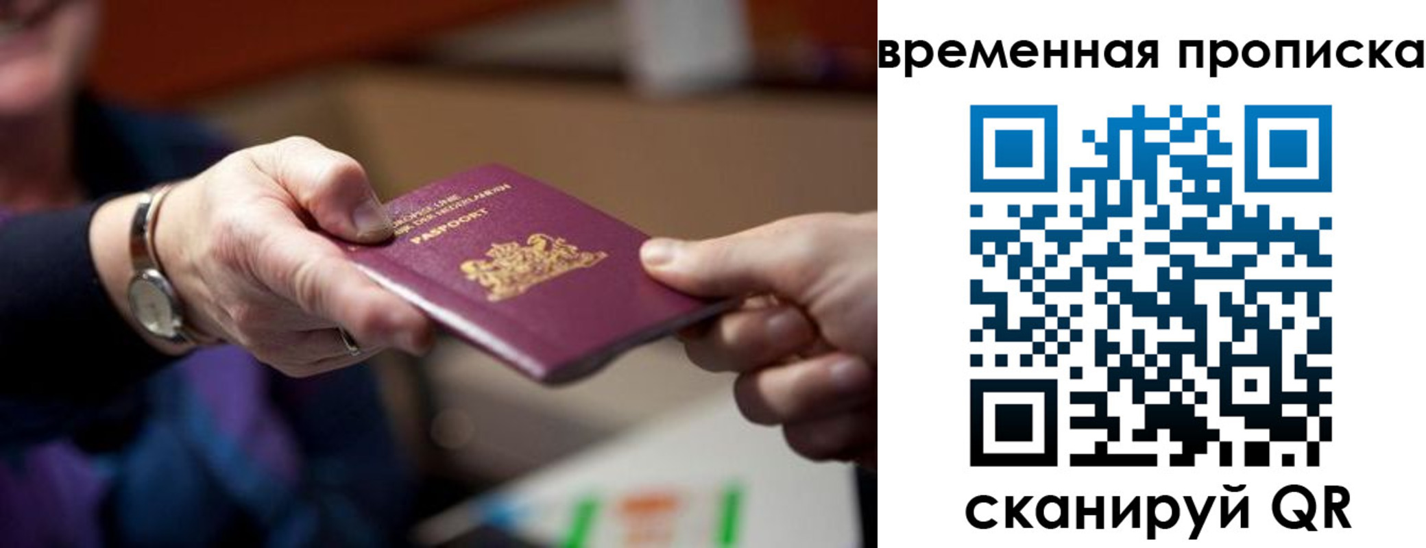временная регистрация для всех в Геленджике